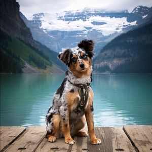 Meet your Posher, Miguel